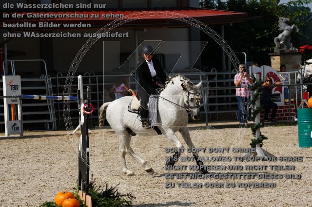 s_DSC04876.JPG